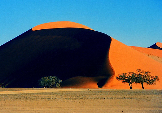 Funded Project in Namib Desert