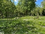 Zentralfriedhof Hansestadt Stralsund