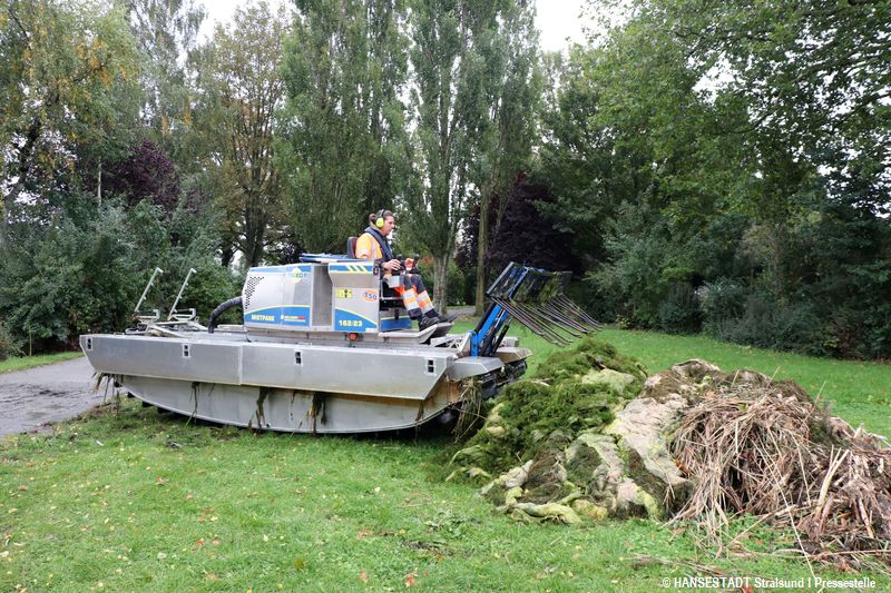 Der Algenmix wird fachgerecht entsorgt