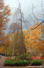 Die Farben des Herbstes im Stralsunder Zoo