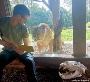 Das erste Probesitzen für die tierische Lesung verlief erfolgreich. Um 15:00 Uhr lädt der Stralsunder Zoo gemeinsam mit der Stadtbibliothek am 30. März zu Geschichten über Löwen direkt am Löwengehege ein.