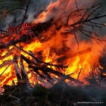 Wenn das Brennmaterial schon länger liegt, sollten Sie es vor dem Entzünden umschichten, damit Ihr Osterfeuer nicht zur Flammenfalle für Tiere wird.