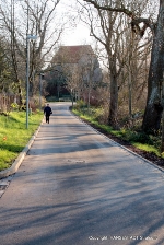 Die neue Dorfstraße mit Blick zur Kirche