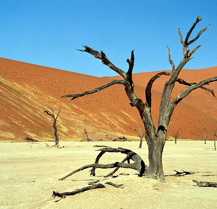 Projekt Namibwüste