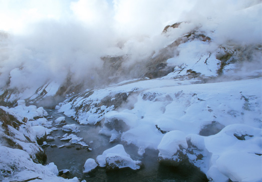 Funded Project in the Nature Park on Kamchatka