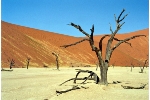 Namib Desert